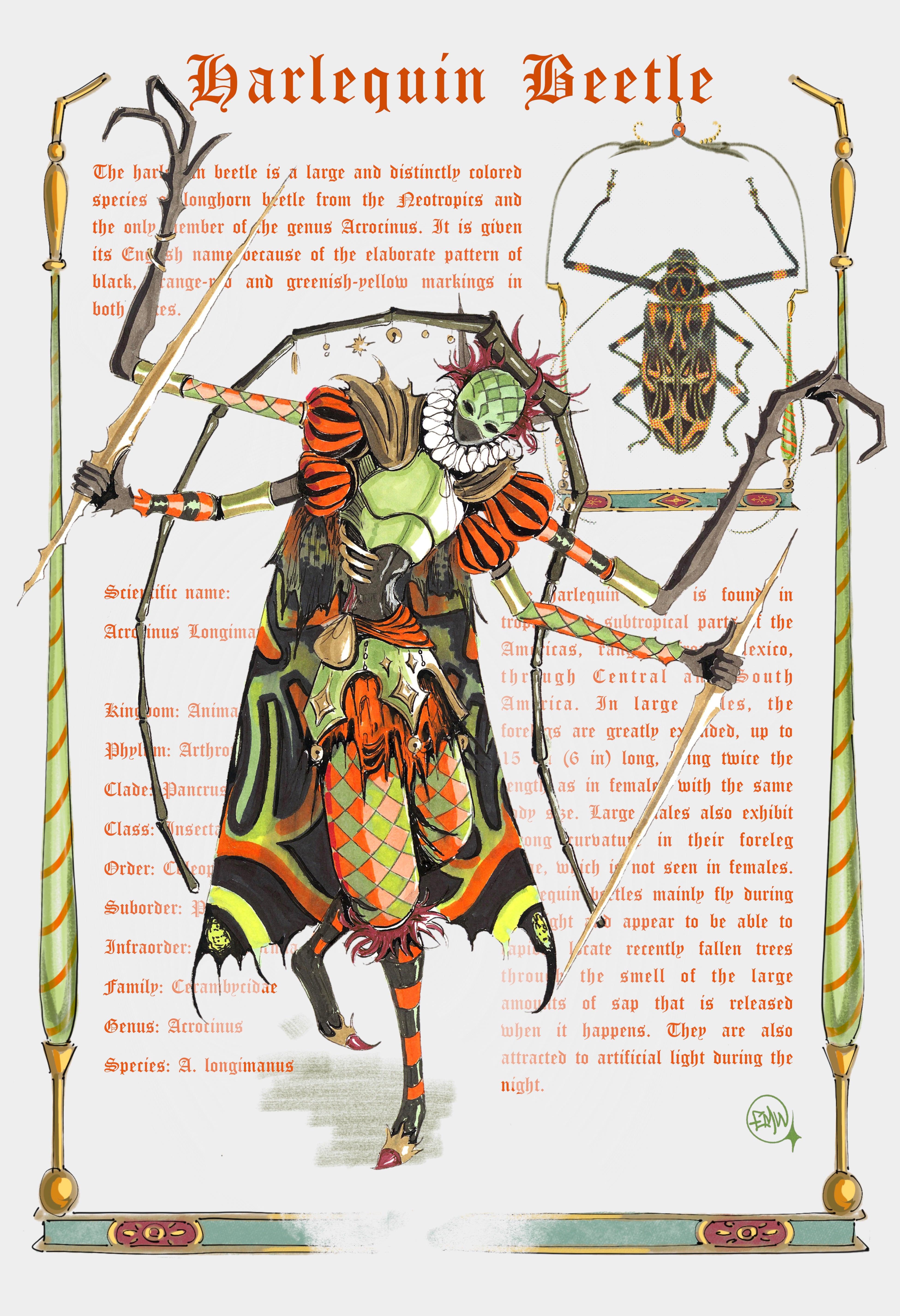 HARLEQUIN PRINT