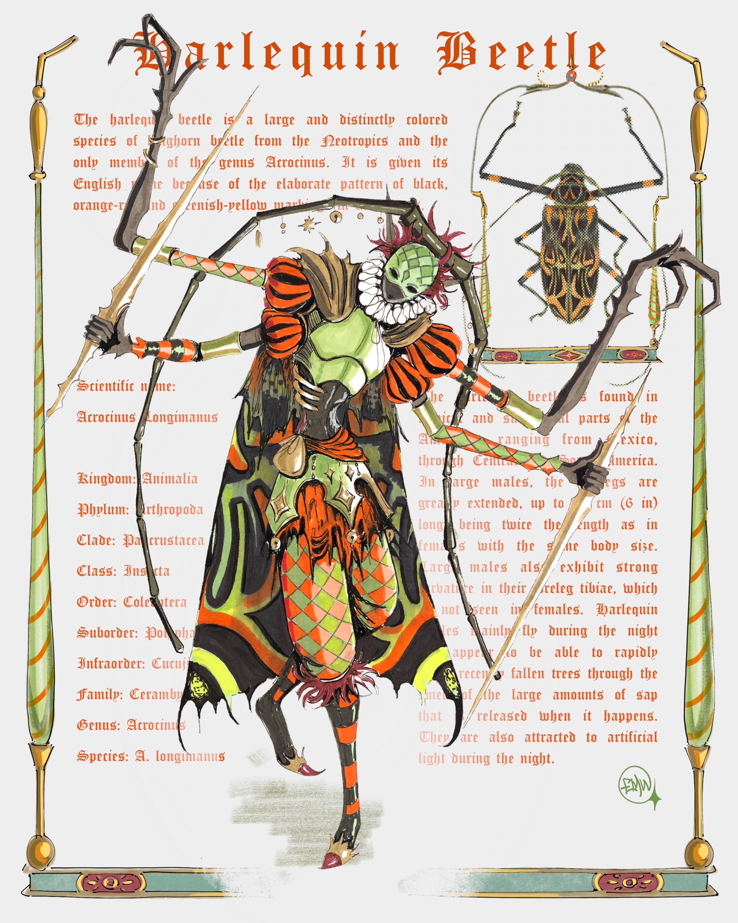 HARLEQUIN PRINT